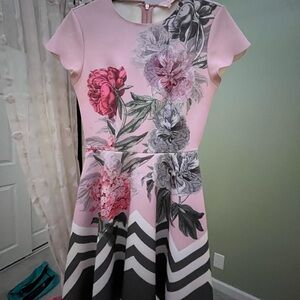 Ted Baker Pink and Gray Floral Dress